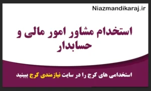 استخدام مشاور امور مالی و حسابدار